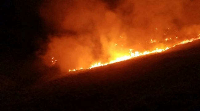 Muğla'nın Bodrum ilçesinde orman yangını çıktı