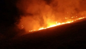 Muğla'nın Bodrum ilçesinde orman yangını çıktı