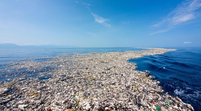 Pasifik Çöp Girdabı kendi ekosistemini oluşturdu