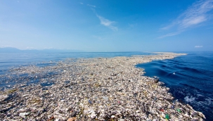 Pasifik Çöp Girdabı kendi ekosistemini oluşturdu