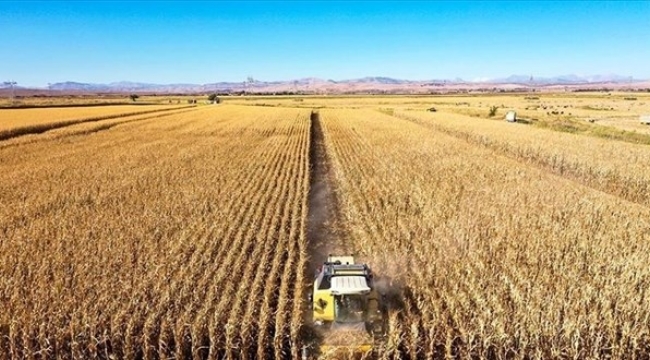 Tarım ihracatı, ilk çeyrekte 8 milyar $'ı aştı