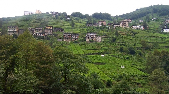 Trabzon'un 2 ilçesi için deprem riski uyarısı