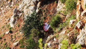 Alanya'da yamaç paraşütü pilotu kayalıklara düştü