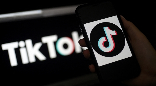 Avusturya, kamu çalışanlarına TikTok'u yasakladı