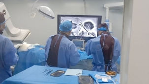 Çin'de bir maymunun beynine çip takıldı