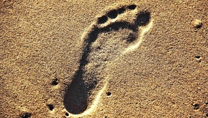 Dünyanın en eski insan ayak izleri keşfedildi