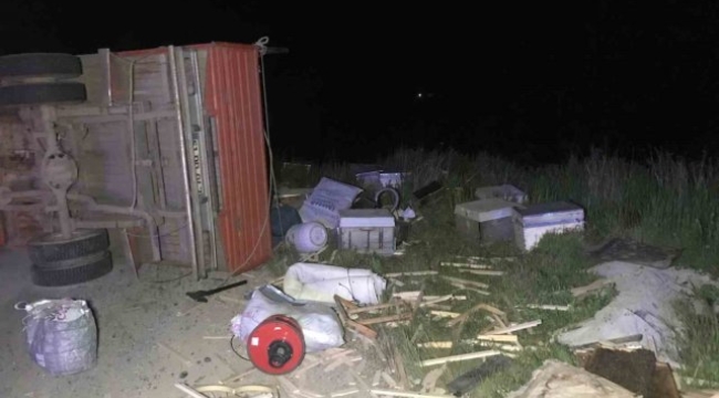 Gümüşhane'de arı dolu pikap devrildi