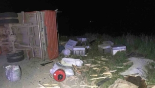 Gümüşhane'de arı dolu pikap devrildi