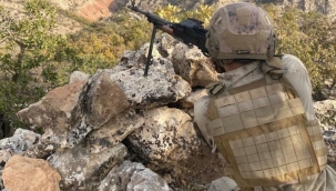 Şırnak'ta 5 terörist etkisiz hale getirildi