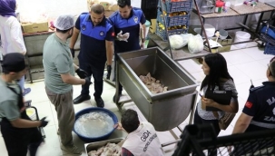 Urfa'da kaçaklar bozuk tavuğu "ağartıp" sattılar