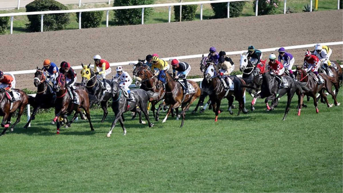 97. Gazi Koşusu'nda zafer Urfa Aslanı'nın oldu