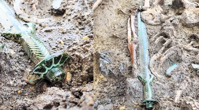 Almanya'da 3 bin yıllık bronz kılıç bulundu