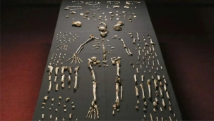 Dünyanın bilinen en eski mezarlığı keşfedildi