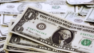 Faizin %15 olmasının ardından 1 $ 24 TL'yi geçti