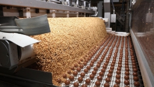 Ferrero'nun fabrikasında yine bakteri tespit edildi