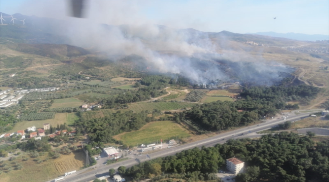 İzmir'in Menemen ilçesinde orman yangını