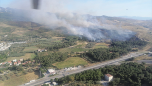İzmir'in Menemen ilçesinde orman yangını
