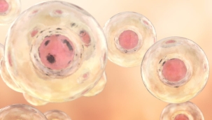 Kalp atışı olan yapay insan embriyosu üretildi