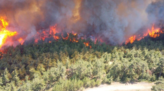 Kanada orman yangınlarının etkisi altında 