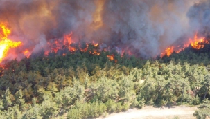 Kanada orman yangınlarının etkisi altında 