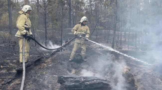 Kazakistan'da orman yangını: Can kaybı 14'e çıktı