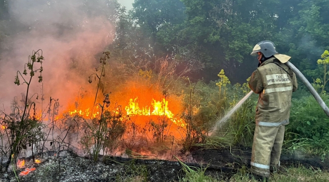 Kazakistan/Semey ormanında yangın: 3 can kaybı