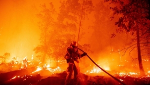 Meksika'nın Chihuahua eyaletinde orman yangını
