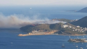 Muğla Datça'da makilik alanda yangın çıktı