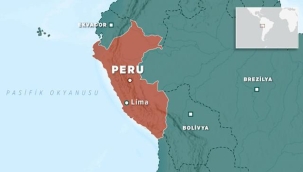 Peru'da dang humması salgını: 248 kişi öldü