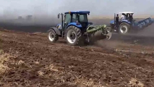 Şanlıurfa'da 60 dönümlük buğday ekili tarla yandı 