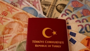 Schengen vize başvurularının yarısı reddedildi