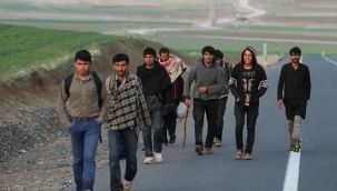 Taliban: "Türkiye, Afganlara kolaylık sağlamalı"