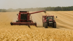 TÜİK'in iddiası: "Tarım-ÜFE Mayıs'ta %2,14 arttı"