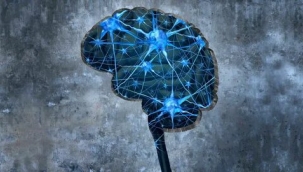 Zeki insanlar karmaşık problemleri yavaş çözüyor 