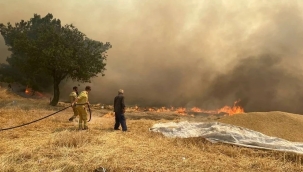 7 ilde orman yangını çıktı