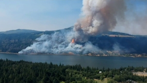 ABD'nin Washington eyaletinde orman yangını