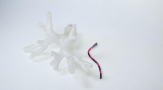 Akciğer kanseri tedavisi için mini robot