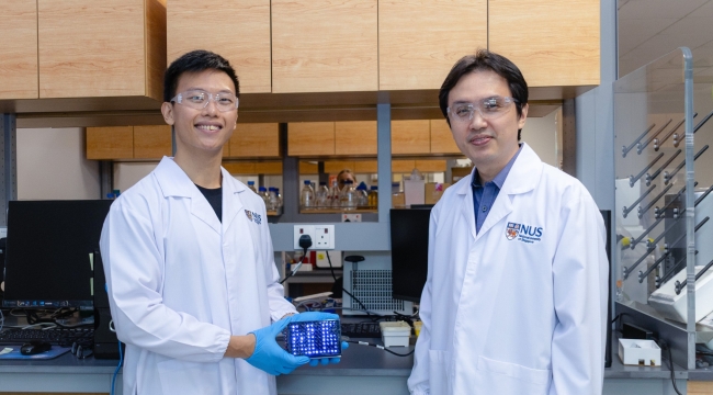 BacCam: Dijital bilgiyi DNA'ya kodlayan kamera