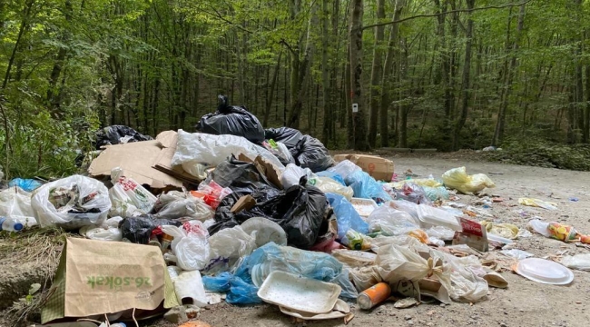 Belgrad Ormanı'nda 3 günde 18 ton çöp toplandı