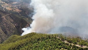 Bolu'daki yangın 3. gününde kontrol altına alındı