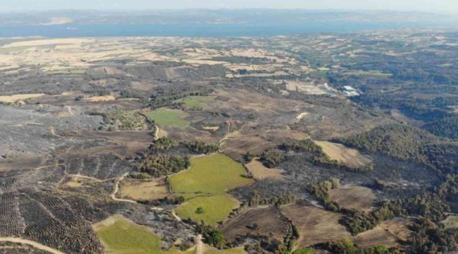 Çanakkale'de 2500 hektarlık orman alanı yandı