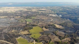 Çanakkale'de 2500 hektarlık orman alanı yandı