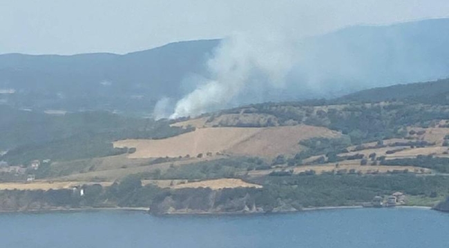 Çanakkale'nin Lapseki ilçesinde orman yangını