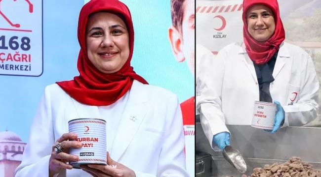 Fatma Meriç Yılmaz, Kızılay'ın yeni başkanı oldu