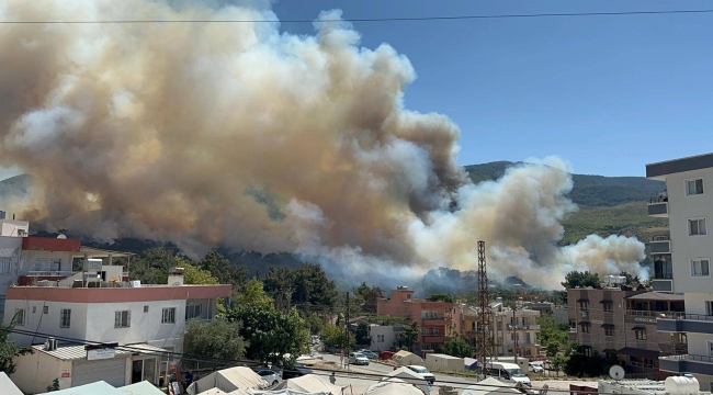 Hatay'ın Belen ilçesinde orman yangını çıktı
