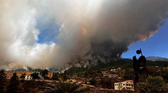İspanya'nın La Palma Adası'nda orman yangını