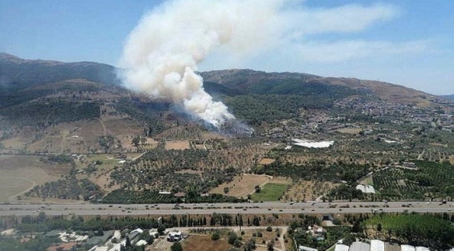 İzmir'in iki ilçesinde orman yangını