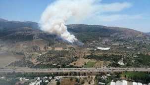İzmir'in iki ilçesinde orman yangını