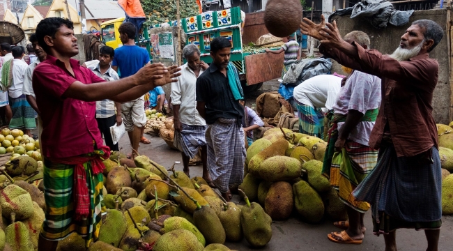 Jak meyvesi: Sri Lanka'yı açlıktan kurtarıyor