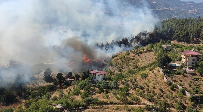 Kahramanmaraş'ın iki ilçesinde orman yangını